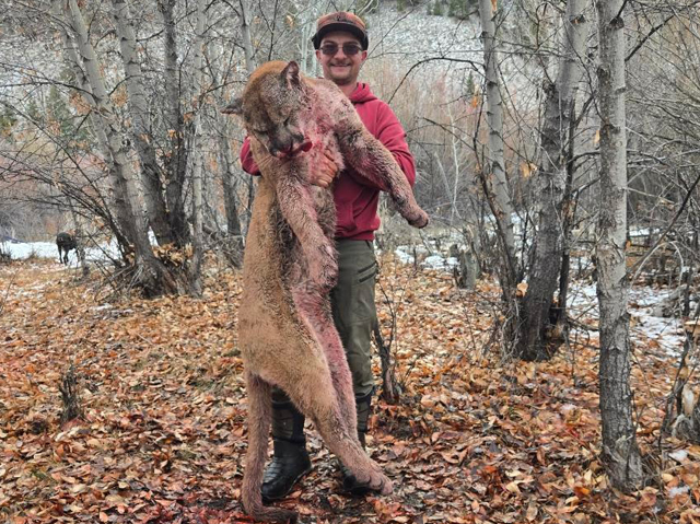 First Idaho mountain lion of the 2025/2026 winter season